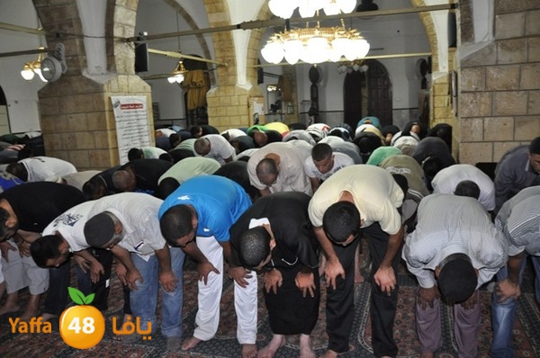 trawe7 7san bek 715 (17).JPG